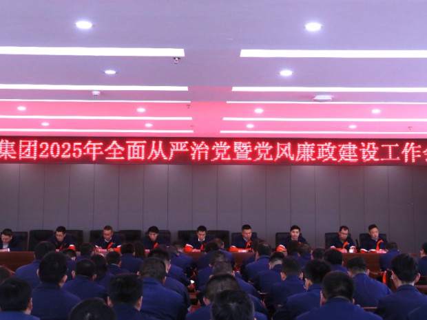 凯时尊龙人生就是博集团党委召开2025年全面从严治党暨党风廉政建设工作会议