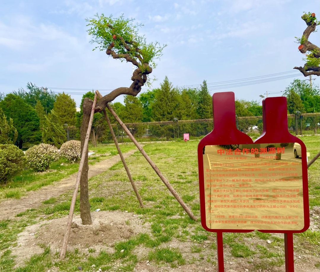 640?wx_fmt=png 图片